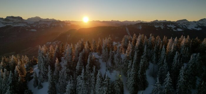 pano-semnoz