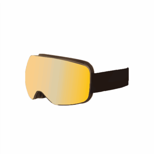 VIZZION POLAR ActivLux S2-4 + S1 masker - BLACK